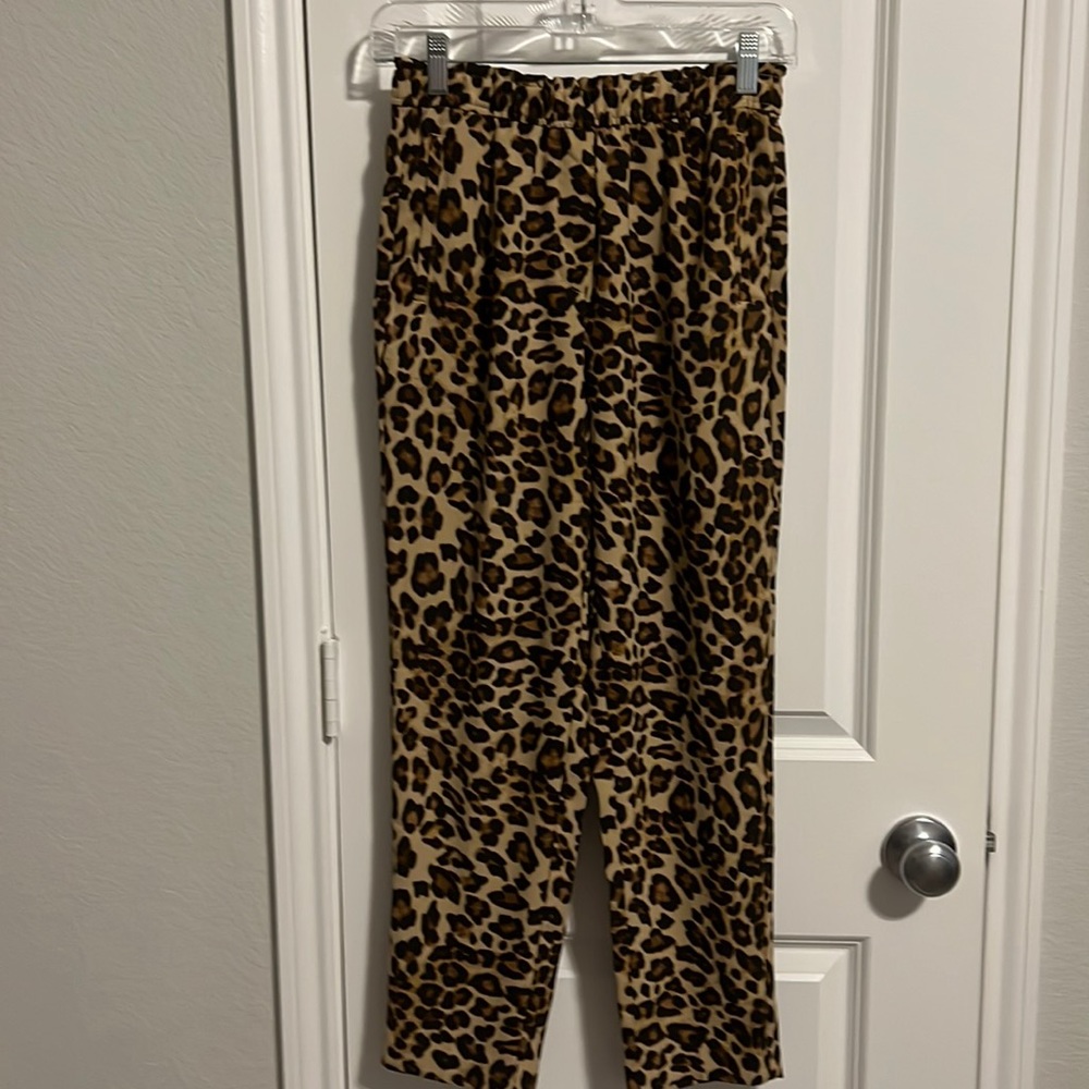 H&M pants size 2 new never wear